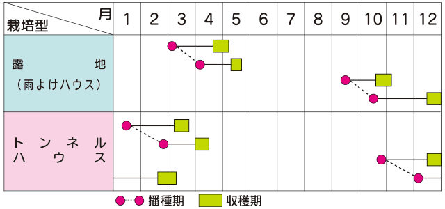 作型表