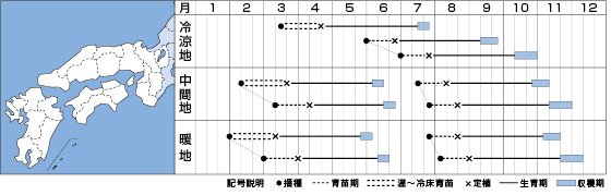 作型表