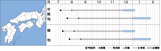 作型表