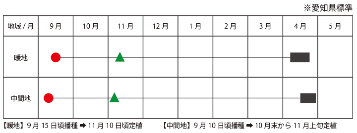 作型表