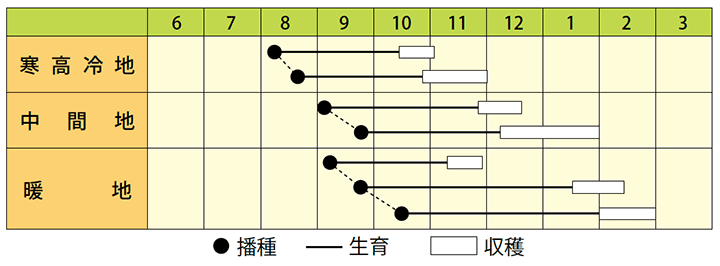 作型表