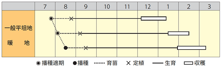 作型表