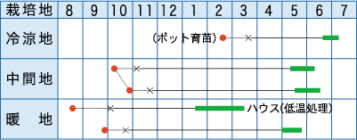 作型表