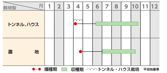 栽培歴
