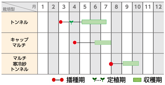栽培歴