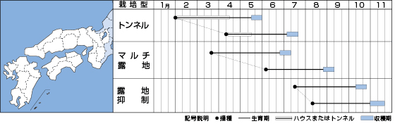 作型表