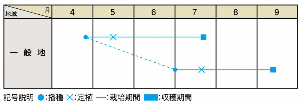 作型表