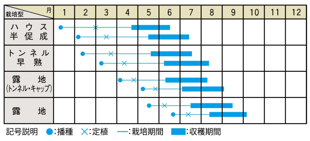 作型表