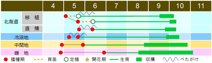 作型表