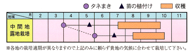 作型表