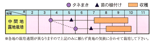 作型表