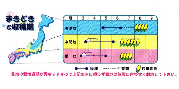 作型表