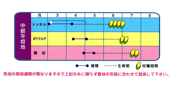 作型表