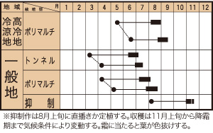 作型表