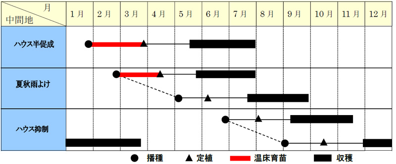 作型表