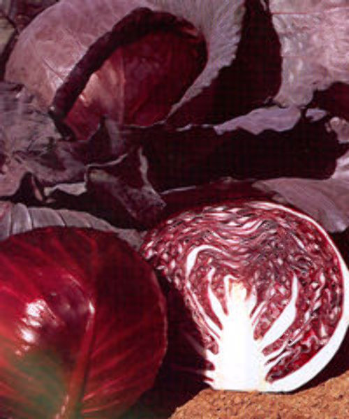 00000045_photo1.jpg