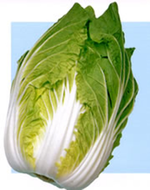 00000256_photo1.jpg
