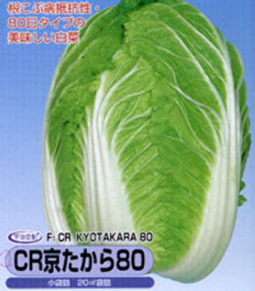 00000271_photo1.jpg