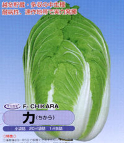 00000272_photo1.jpg