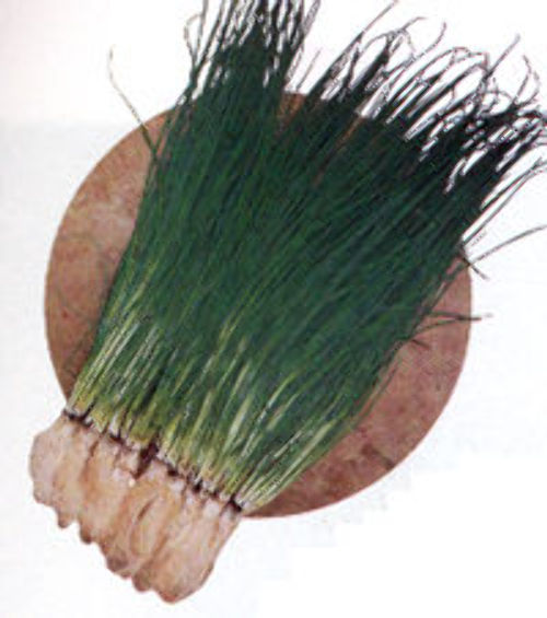 00000406_photo1.jpg