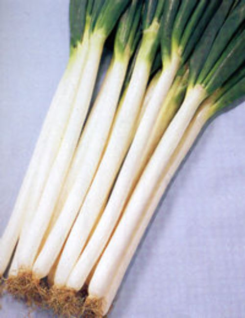 00000412_photo1.jpg
