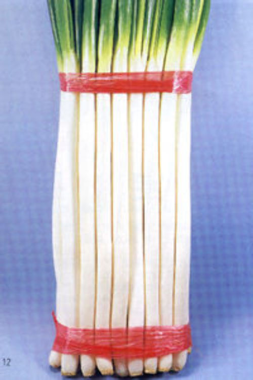 00000413_photo1.jpg