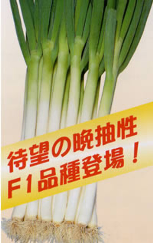 00000450_photo1.jpg