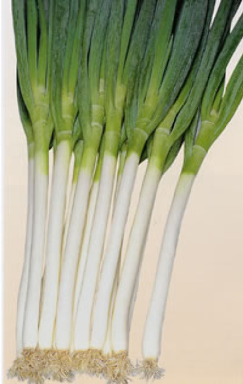 00000451_photo1.jpg
