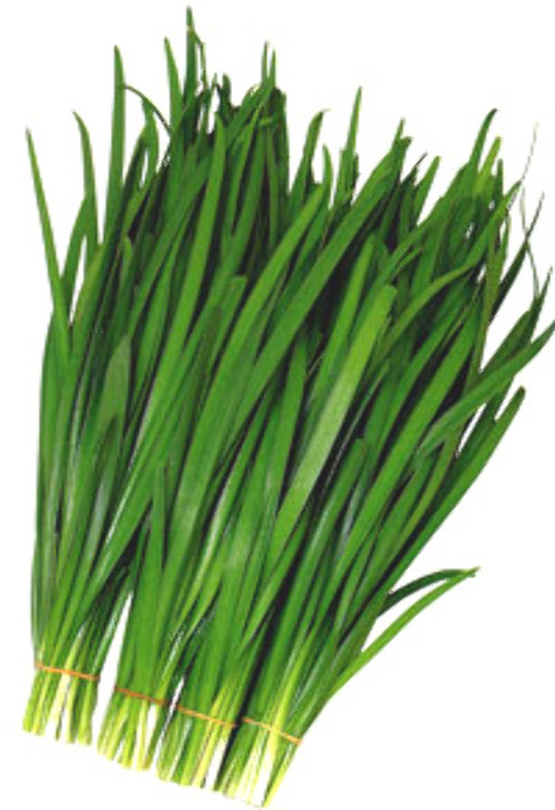 ニラ - e-種や｜国内最大級の野菜種・花種・苗・農業資材の販売店