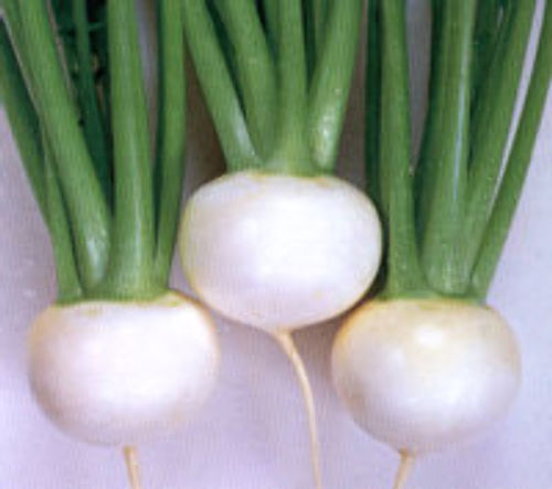 00000470_photo1.jpg