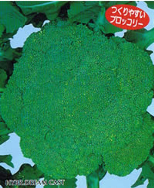 00000521_photo1.jpg