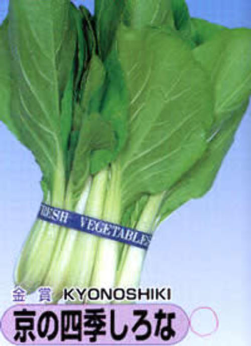 00000592_photo1.jpg