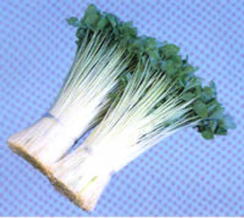 00000668_photo1.jpg