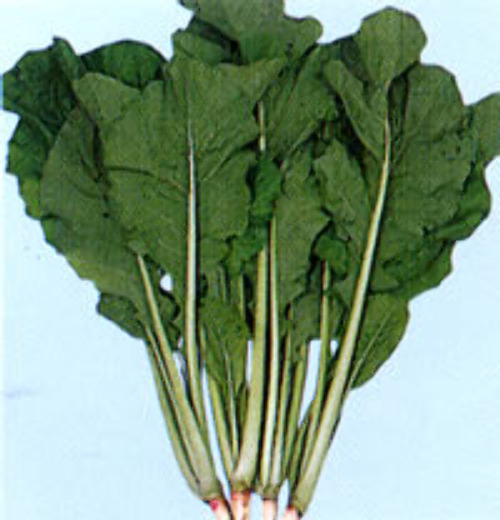 00000676_photo1.jpg