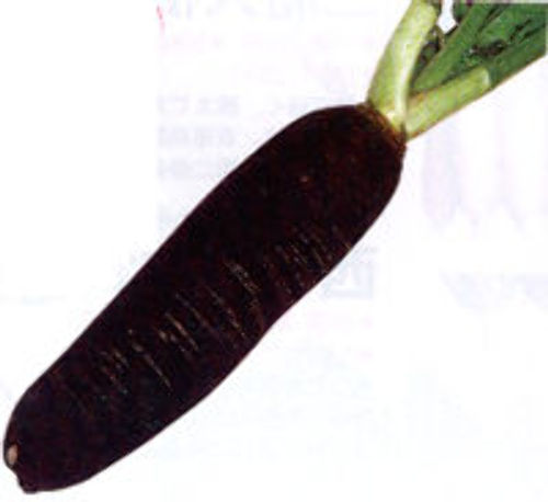 00000781_photo1.jpg