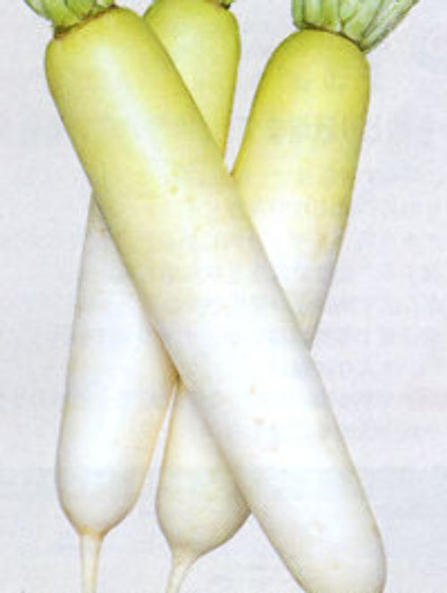 00000789_photo1.jpg
