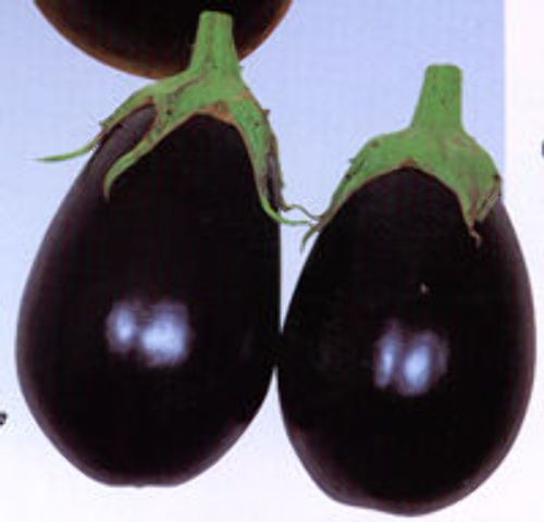 00000971_photo1.jpg