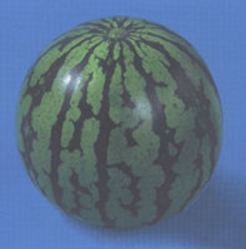 00001070_photo1.jpg