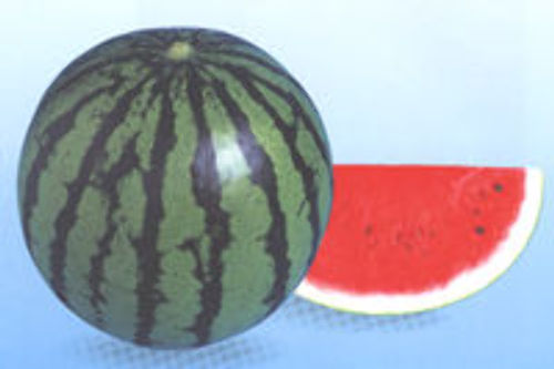 00001072_photo1.jpg