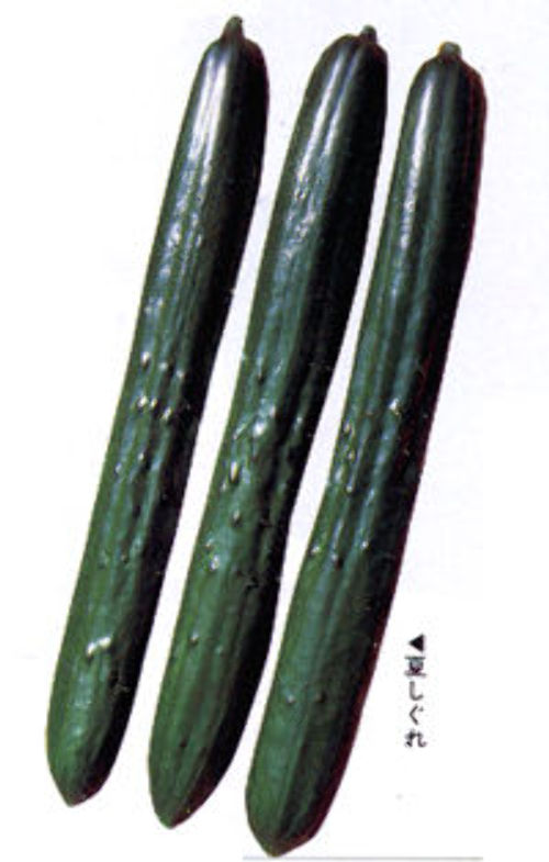 00001254_photo1.jpg