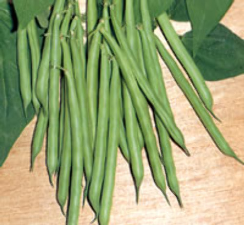 00001553_photo1.jpg