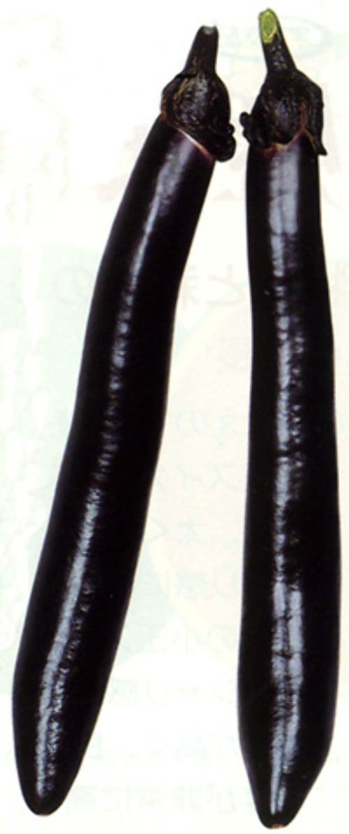00001816_photo1.jpg