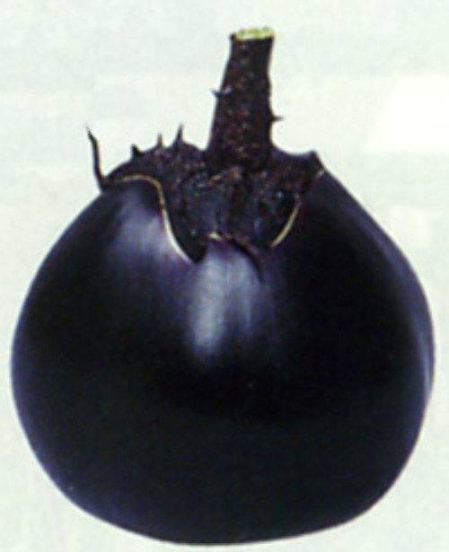 00001823_photo1.jpg