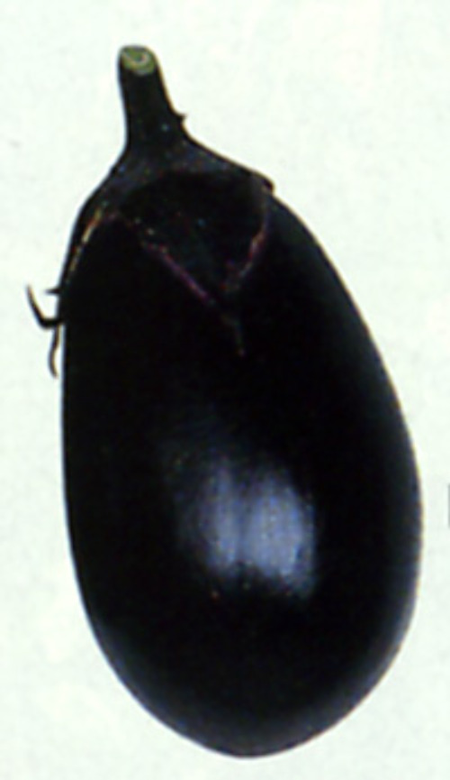00001824_photo1.jpg
