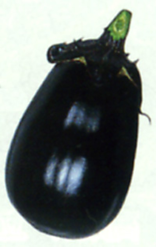 00001825_photo1.jpg