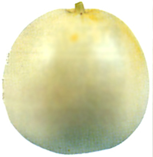 00001859_photo1.jpg