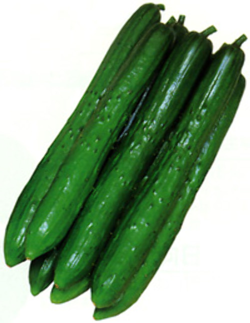00001862_photo1.jpg