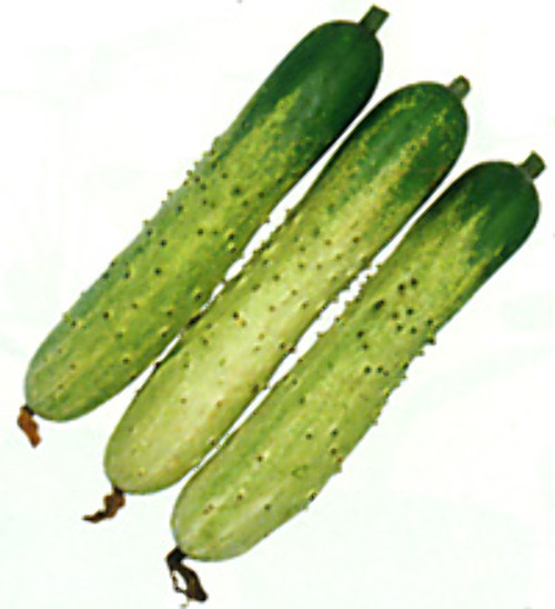 00001870_photo1.jpg