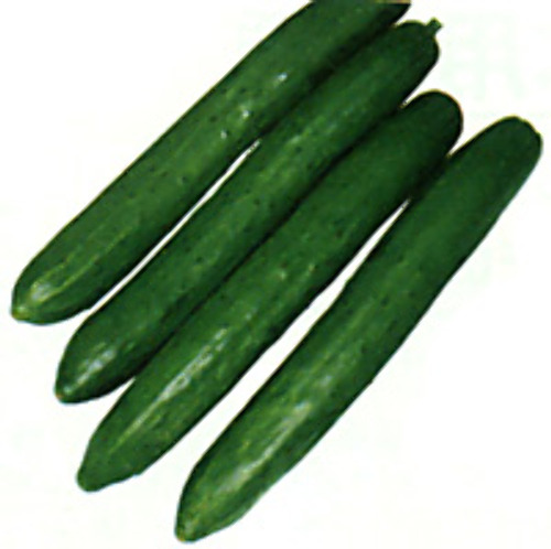 00001871_photo1.jpg