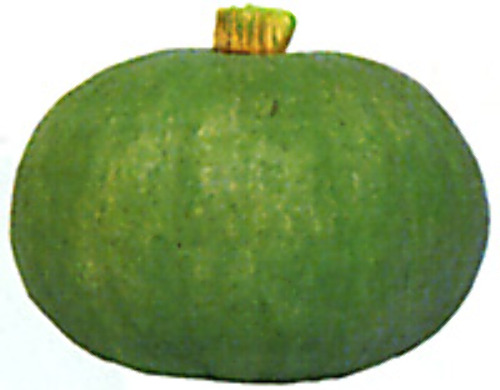 00001874_photo1.jpg
